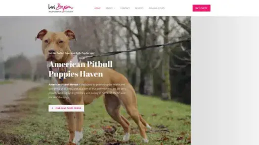 Screenshot of
