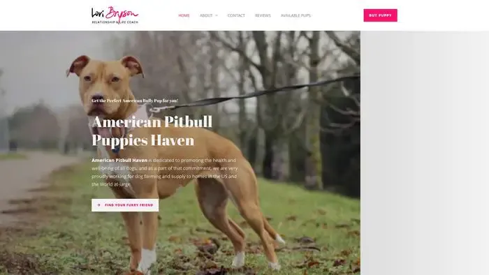 Screenshot of