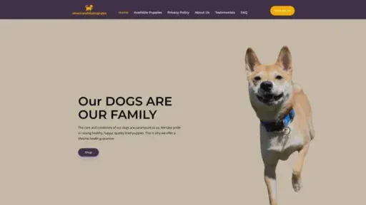 Screenshot of