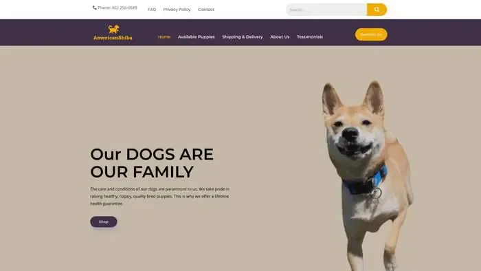 Screenshot of