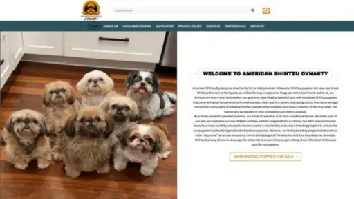 Screenshot of||