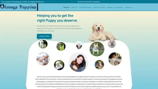 Screenshot of
