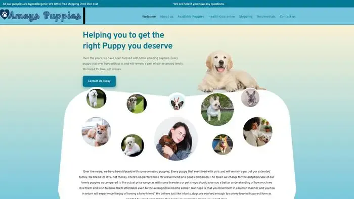 Screenshot of