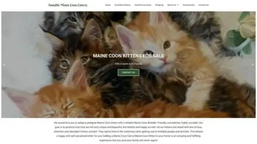 Screenshot of