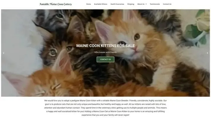 Screenshot of