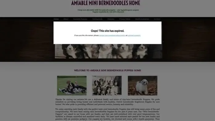 Screenshot of