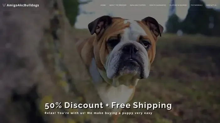 Screenshot of