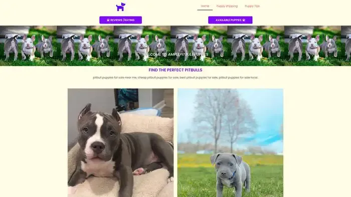 Screenshot of