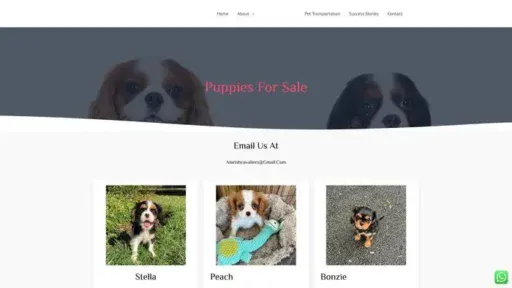 Screenshot of
