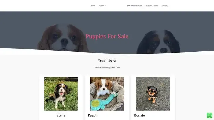 Screenshot of