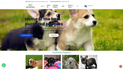Screenshot of