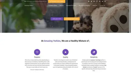 Screenshot of