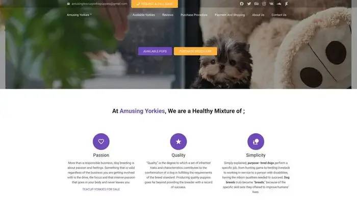 Screenshot of