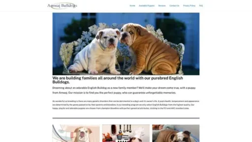 Screenshot of