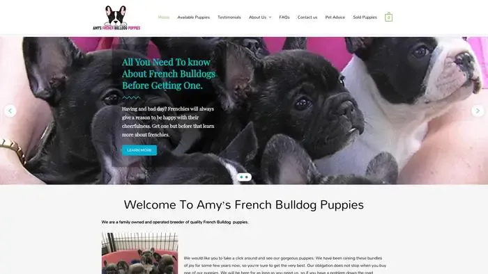 Screenshot of