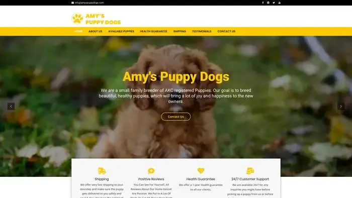 Screenshot of