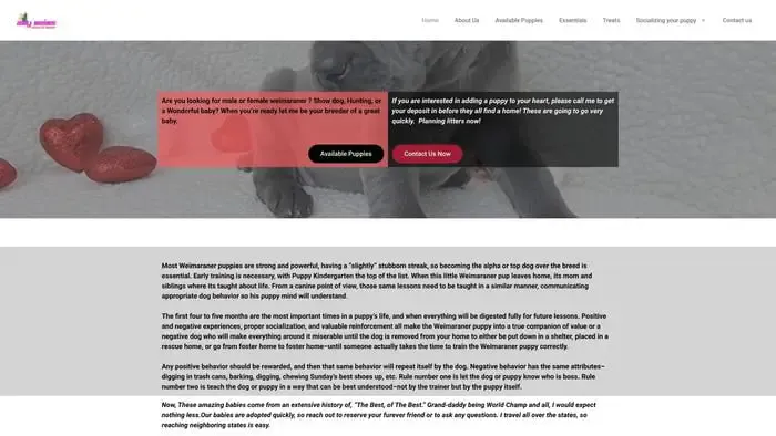 Screenshot of