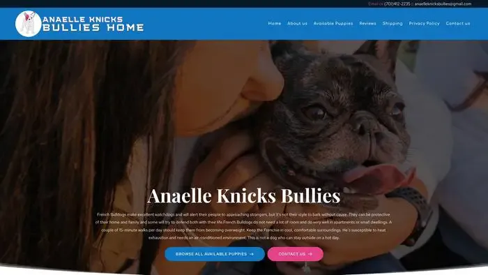 Screenshot of