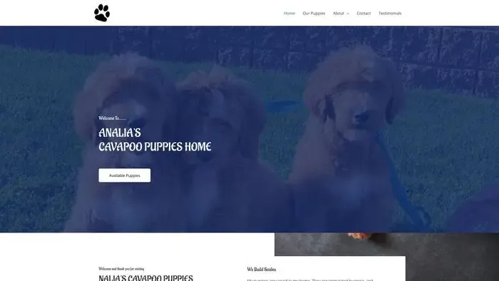 Screenshot of