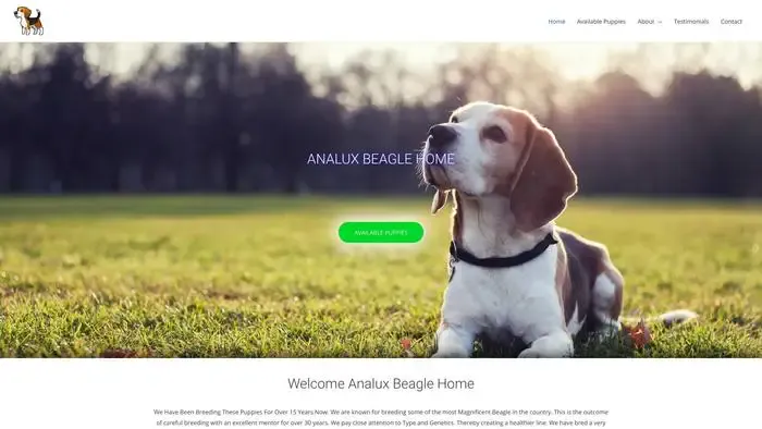 Screenshot of