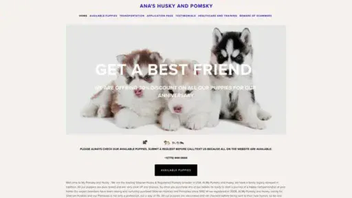 Screenshot of
