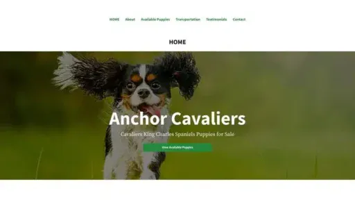 Screenshot of
