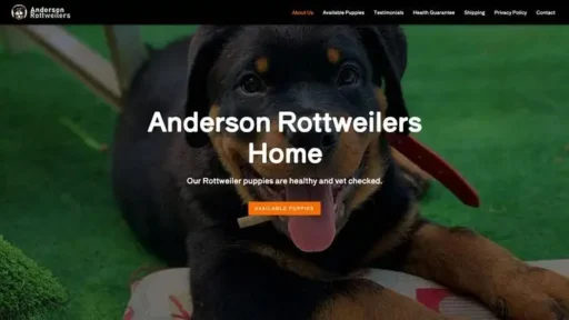 Screenshot of