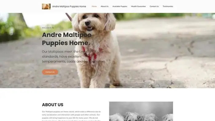 Screenshot of