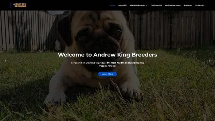 Screenshot of