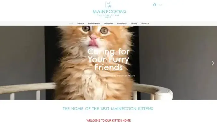 Screenshot of