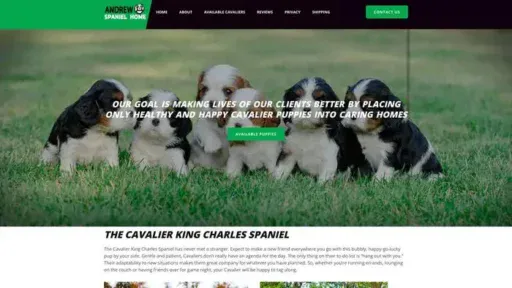 Screenshot of