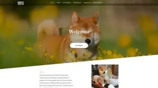 Screenshot of