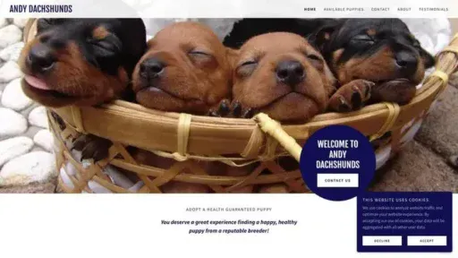 Screenshot of