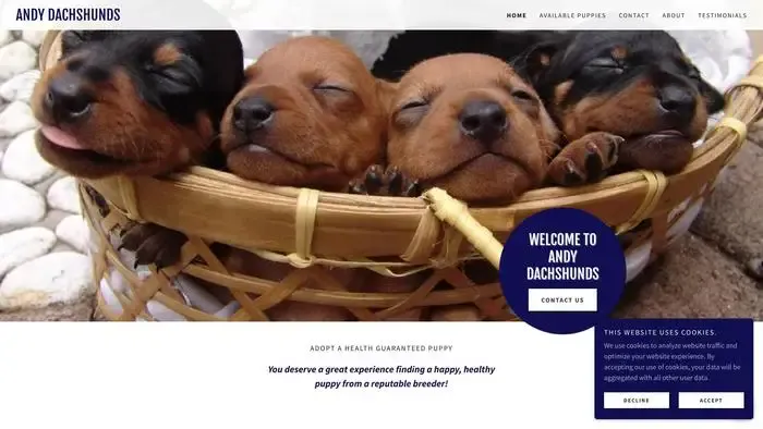 Screenshot of