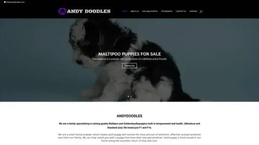 Screenshot of