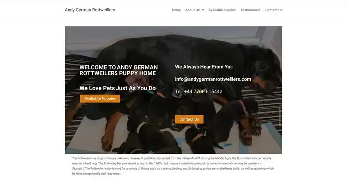 Screenshot of