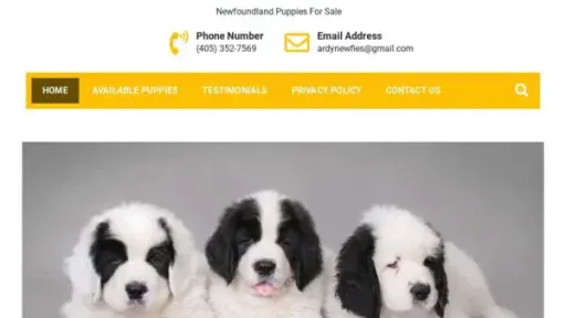 Screenshot of