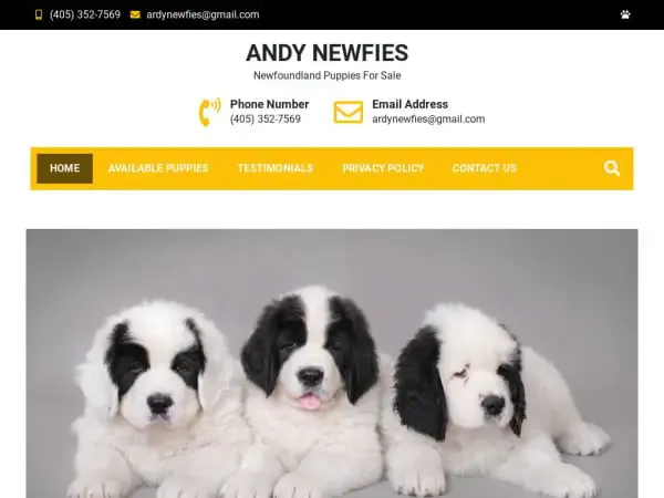 Screenshot of