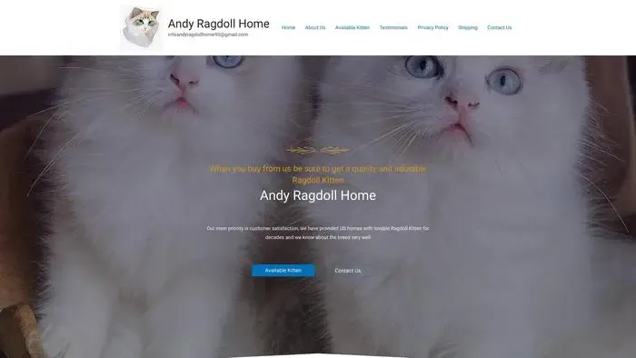 Screenshot of