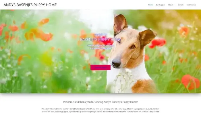Screenshot of