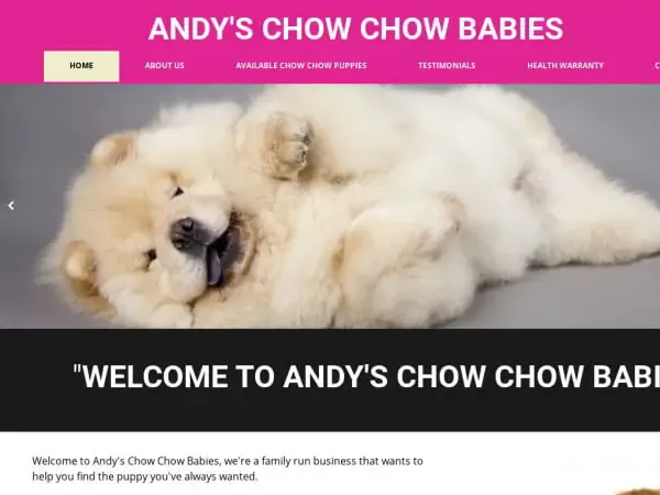 Screenshot of