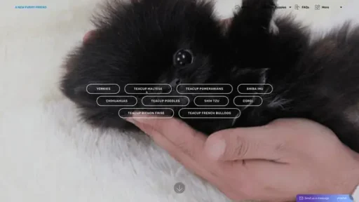 Screenshot of