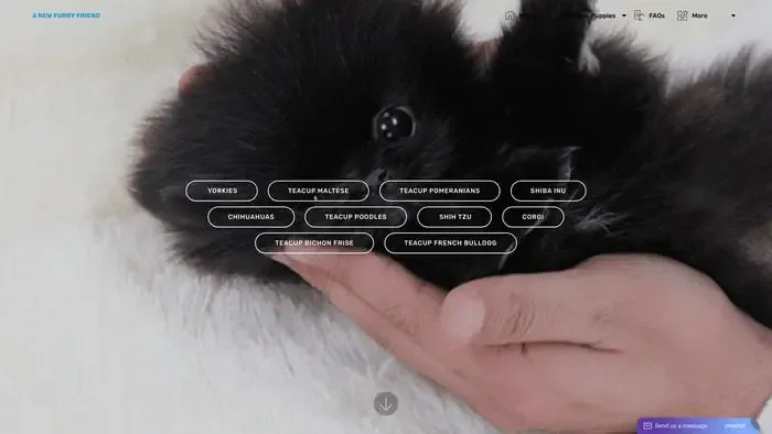 Screenshot of