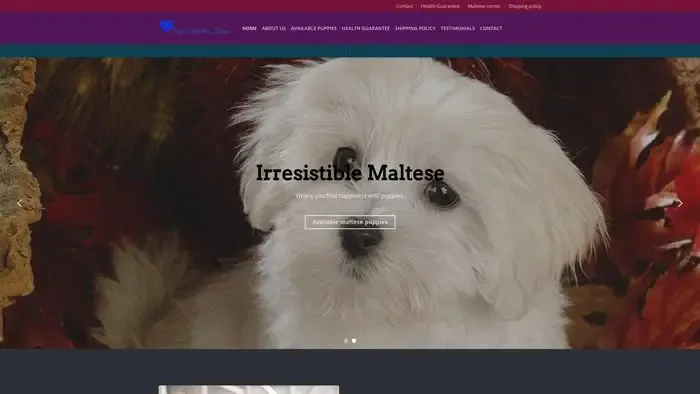 Screenshot of
