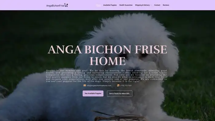 Screenshot of