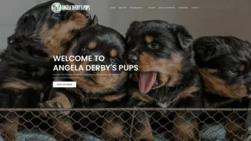 Screenshot of||
