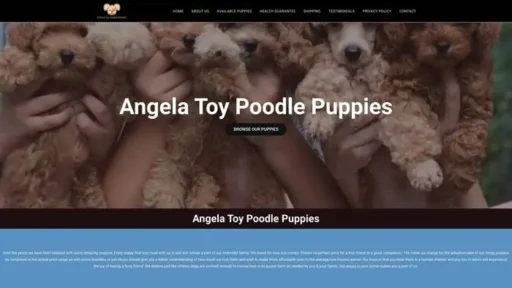 Screenshot of