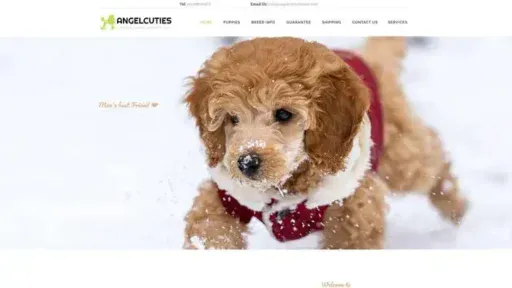 Screenshot of