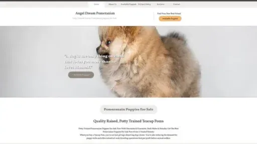 Screenshot of