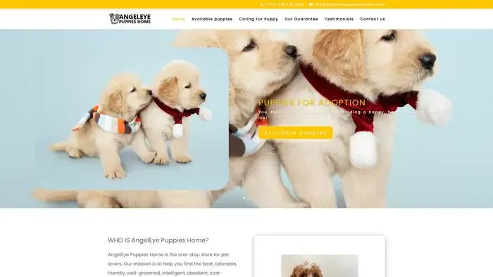 Screenshot of
